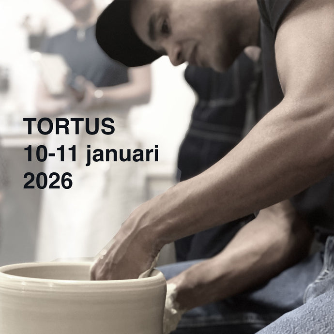 Workshop med Tortus - 10-11 januari 2026